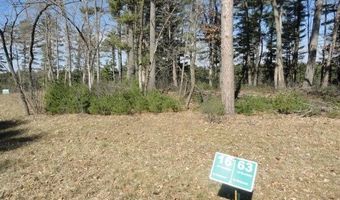 Lot 16 Fly Rod Trail, Wisconsin Rapids, WI 54494