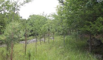 3751 CR 1313 County Road 1313 Crane Lake Rd, Arcadia, MO 63621