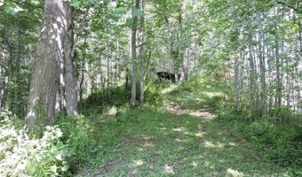 674 Johnson's River Bend Ln, Bakersville, NC 28705