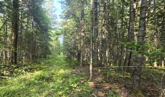 Cummings Lane, Acton, ME 04468