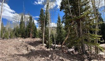 314 E Toboggan Cir, Brian Head, UT 84719