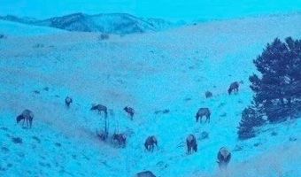 95 Mill Draw Overlook, Belfry, MT 59008