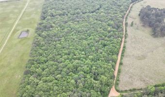 0 CR 3216, De Kalb, TX 75559