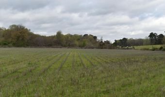 Hwy 278, Batesville, MS 38606