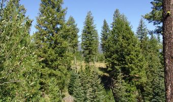 Skunk Creek Road, Cascade, ID 83611