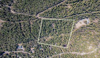 Nhn W Swan Shores Road, Bigfork, MT 59911