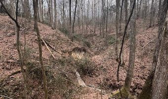 2415 Lamar Rd, Ashland, MS 38603