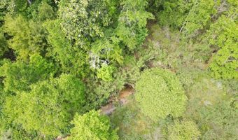TBD NW CR 274, Altha, FL 32421