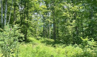 Denio Road, Barnet, VT 05821