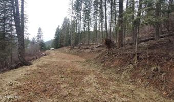 480 Dunn Peak Rd, Avery, ID 83802