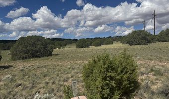 79 Alpine Ln, Concho, AZ 85924