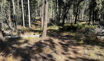 Taos Dr lot 173, Angel Fire, NM 87710