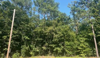 203 Pebble Cove Rd, Abbeville, AL 36310