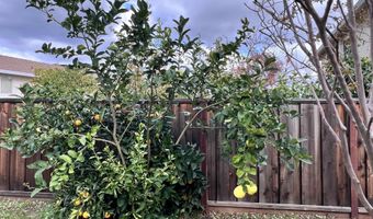 1824 Harding Ct, Antioch, CA 94509