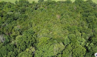 0 CR 4236, De Kalb, TX 75559
