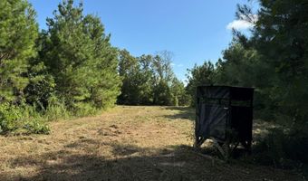 SW Auburn Drive, Bogue Chitto, MS 39629