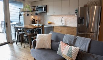 22860 Two Rivers Road 274, Basalt, CO 81621
