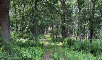 81 CABIN Rd, Augusta, WV 26704