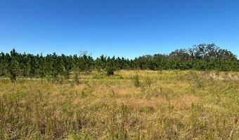 Lot 2 50th Ave, Bell, FL 32619