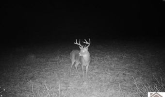 Sandy Branch Road, Bardwell, KY 42023