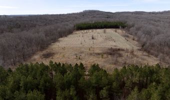000 County Road U-105A, Ava, MO 65608