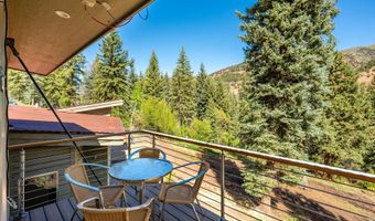 768 Kings Lake Rd, Basalt, CO 81621