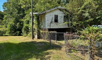 223 Opp Ave, Andalusia, AL 36420