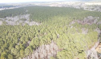 Tbd Highway 461, Ahoskie, NC 27910