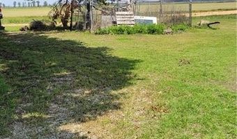 778 Greene 230 Rd, Beech Grove, AR 72412