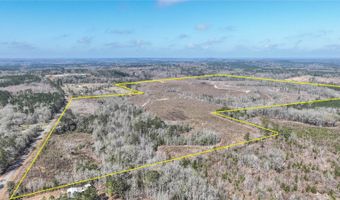 919 County Road 6628, Banks, AL 36005