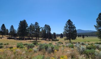 31747 Godowa Springs Rd, Beatty, OR 97621