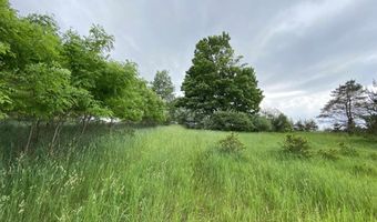 Parcel A Cemetery Road, Alden, MI 49612