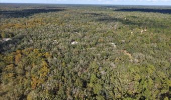 7639 6th St, Bell, FL 32619