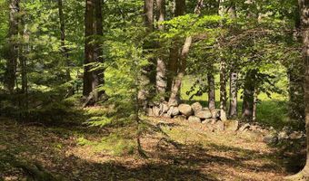 Peaked Hill Road, Bristol, NH 03222