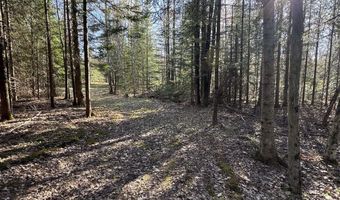 V/L Wildwood Road lot 9, Alger, MI 48610