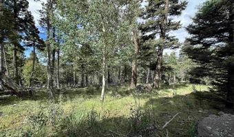 Lot 1437 Cheerful Way, Angel Fire, NM 87710