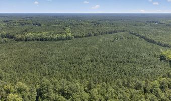 82 Acres Point Caswell Rd, Atkinson, NC 28421