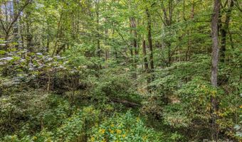 19 Woodchuck Cove Way, Alexander, NC 28701