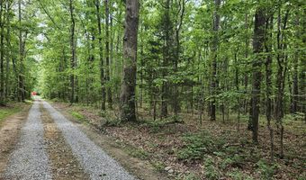 26 55 Acres Namozine Rd, Amelia Court House, VA 23002