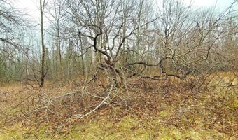 0 Ryan Rd, Baileyville, ME 04694