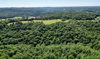 1235 Long Branch-Land, Beattyville, KY 41311