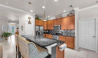 321 SILVER FALLS Dr, Apollo Beach, FL 33572