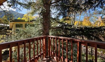 311 Midland Ave, Aspen, CO 81611