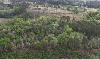 Tract 5 Smith Lane, Bowman, SC 29018