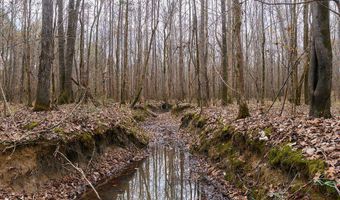 Maddox Road, Ackerman, MS 39735
