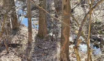 10456 PARTHENON Ct 10456, Bethesda, MD 20817