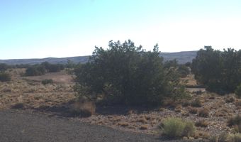 87 County Road 5311, Concho, AZ 85924