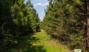 Flowers Road, Bay Minette, AL 36507