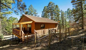 30 Chino Ter, Angel Fire, NM 87710