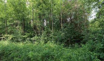 xxx Lane 51, Aurora, MN 55705